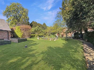 Picture 26